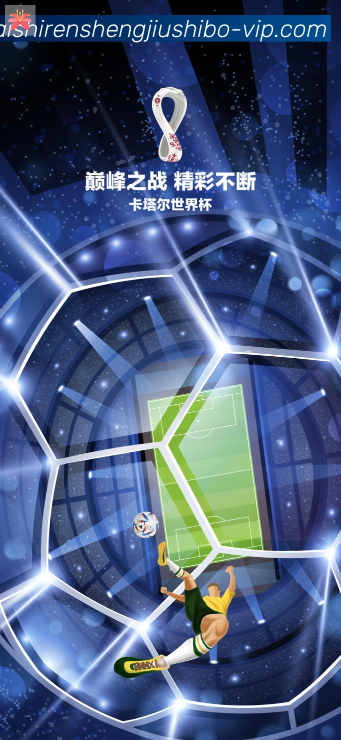 未来规划